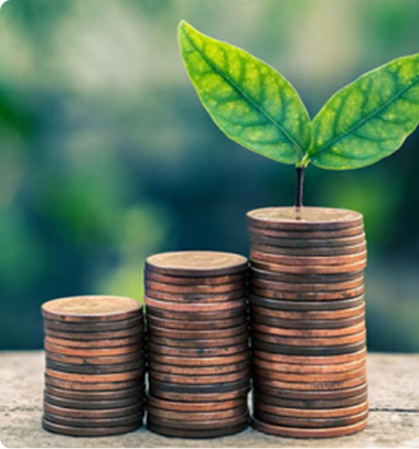 تصویر صندوق ام البنین