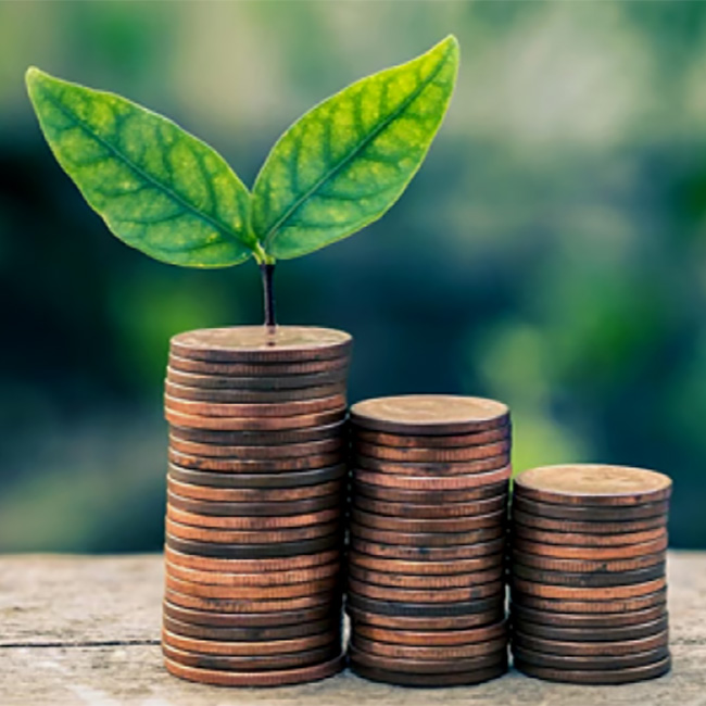 تصویر تامبنیل صندوق قرض الحسنه ام البنین